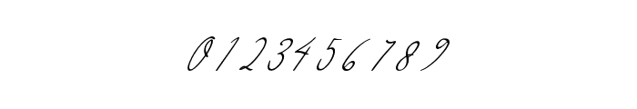 Mikaila Signature Regular Font OTHER CHARS