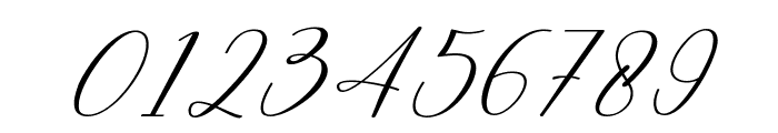 Millia Italic Font OTHER CHARS