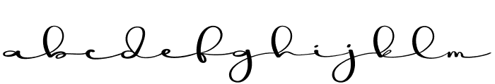 Minimalist Signature Font LOWERCASE