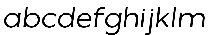 Misegar-Italic Font LOWERCASE