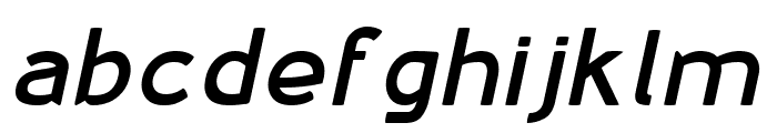 Monk SPF Bold Italic Font LOWERCASE