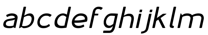 Monk SPF Regular Italic Font LOWERCASE