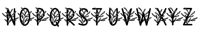 Monogram Cadacia Floral Font UPPERCASE