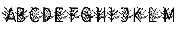 Monogram Cadacia Floral Font LOWERCASE