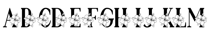 Monogram Flower Rosasine Font UPPERCASE