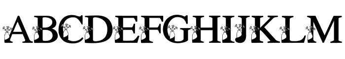 fontPreview