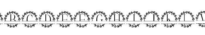 Monogram Gorgeous Font UPPERCASE