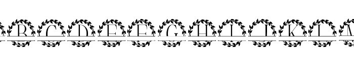 Monogram Gorgeous Font LOWERCASE