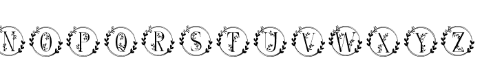 Monogram Handrawn Floral Font LOWERCASE