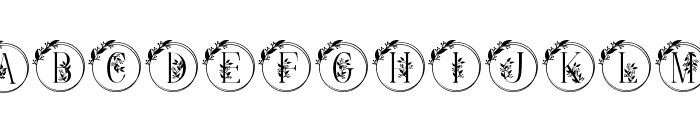 Monogram Rosa Font LOWERCASE
