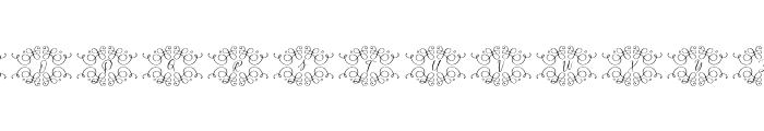 Monogram Wedding Font LOWERCASE