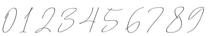 Montelgo Script Font OTHER CHARS
