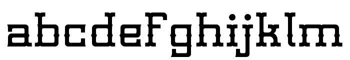Montenegro-Regular Font LOWERCASE