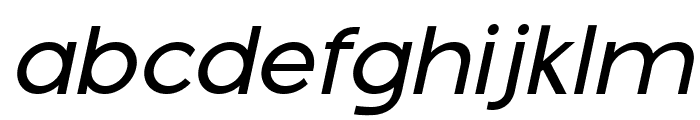 Montreal Oblique Italic Font LOWERCASE