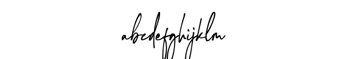 Montreuil Signature Font Font LOWERCASE