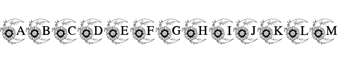 Moon Sunflower Font UPPERCASE