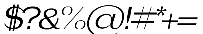 NEUE ITALIC Font OTHER CHARS