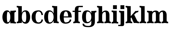 NN Autumn Serif Font LOWERCASE