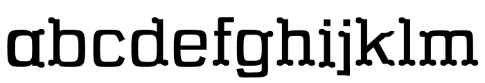 NN Butterfly Serif Font LOWERCASE