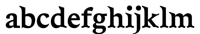 NN Camping Serif Font LOWERCASE