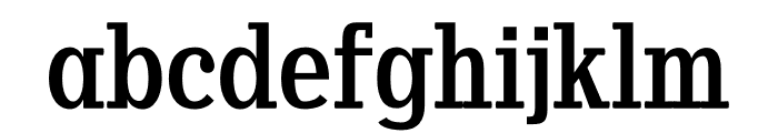 NN College Serif Font LOWERCASE