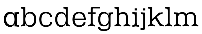 NN Farmhouse Serif Font LOWERCASE