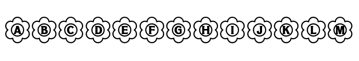 NN Flower Monogram Font UPPERCASE
