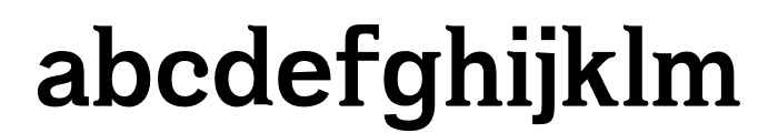NN Flowers Serif Font LOWERCASE