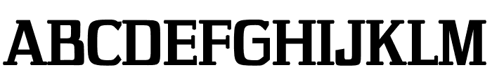 NN Gnome Serif Font UPPERCASE