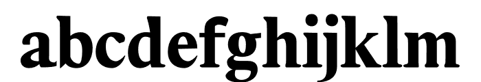 NN Retro Serif Font LOWERCASE