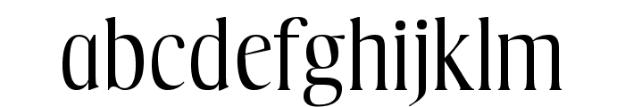 NN Sunflower Serif Font LOWERCASE