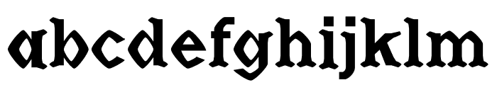 NN Tribal Serif Font LOWERCASE