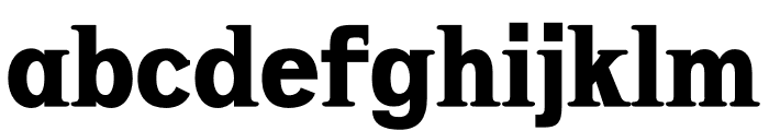 NN Unicorn Serif Font LOWERCASE