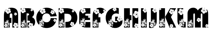 NOLIFLORA Font UPPERCASE