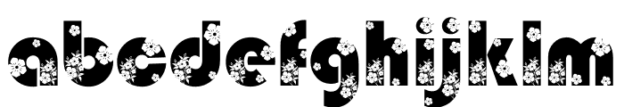 NOLIFLORA Font LOWERCASE