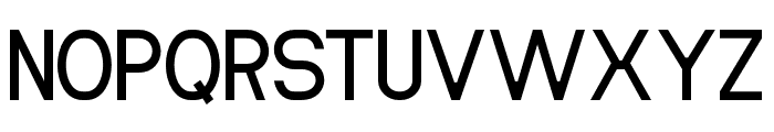 NORTHBEST-Regular Font UPPERCASE