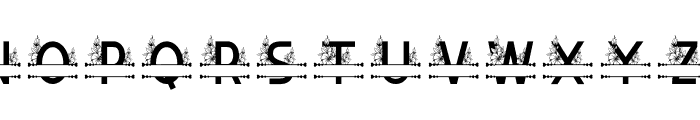 Nadine Flowers Monogram Font LOWERCASE