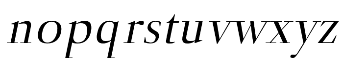 Naia regular-italic Font LOWERCASE