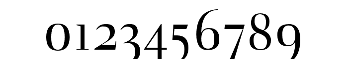 Naia regular Font OTHER CHARS