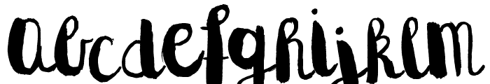Naila Script Typeface Font LOWERCASE