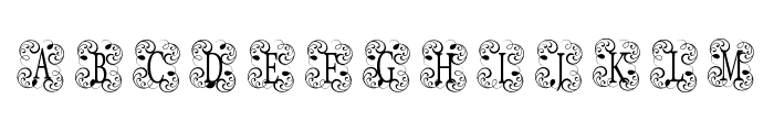 Narsis Monogram Font LOWERCASE