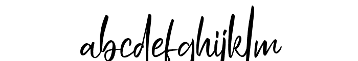 Nasllonity Font LOWERCASE