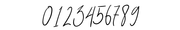 Natural Signature Font OTHER CHARS