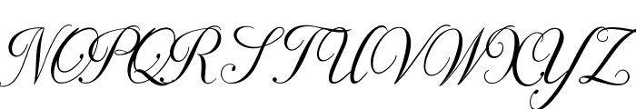 Naylla script Font UPPERCASE