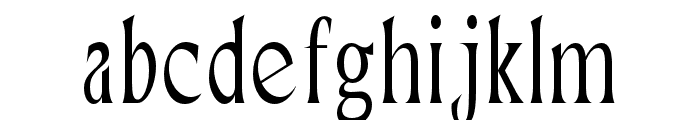 Neela Extra Light Condensed Font LOWERCASE