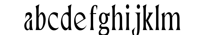 Neela Light Condensed Font LOWERCASE