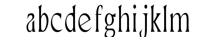 Neela Thin Condensed Font LOWERCASE