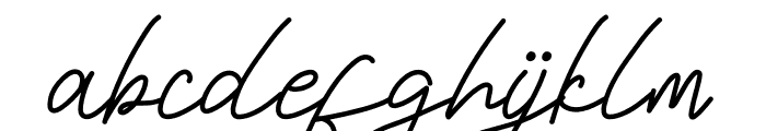 Neitherly Script Font LOWERCASE
