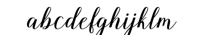 Nelga Script Font LOWERCASE