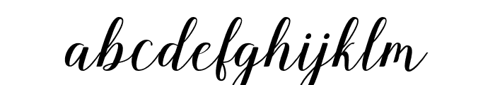 NelgaScript Font LOWERCASE